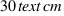 30  text{cm}