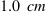 1.0~cm
