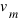 v_{m}