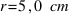r = 5,0~cm